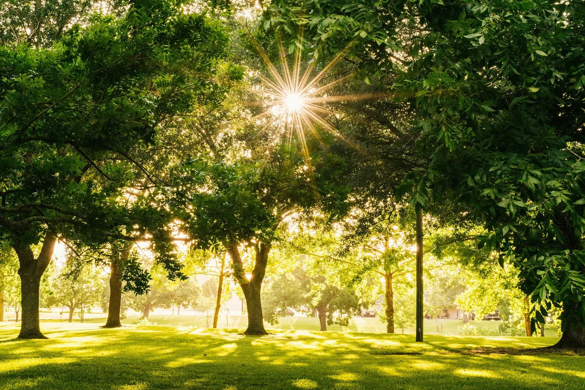 Groen, ruimte en rust in de parken bij Elzenhagen Zuid