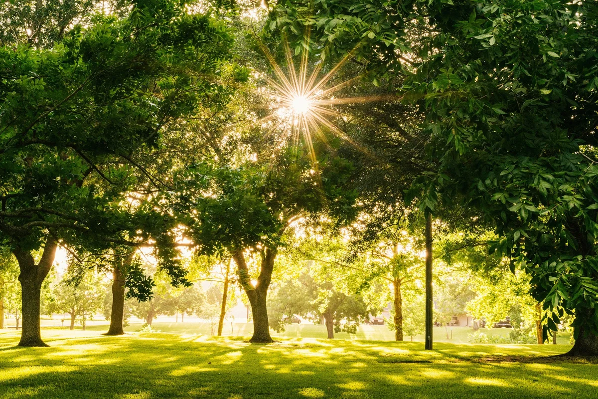Groen, ruimte en rust in de parken bij Elzenhagen Zuid