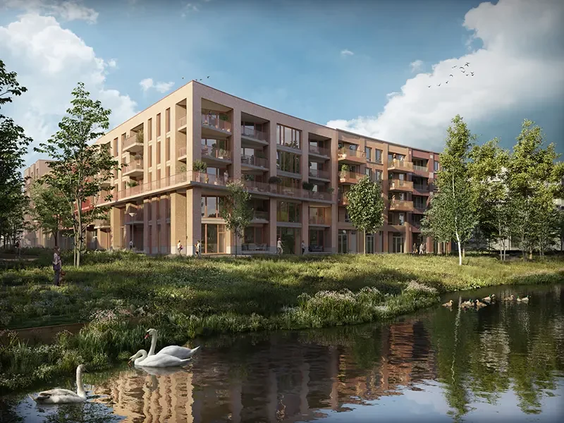 Voel de Vibe van Noordbuurt!